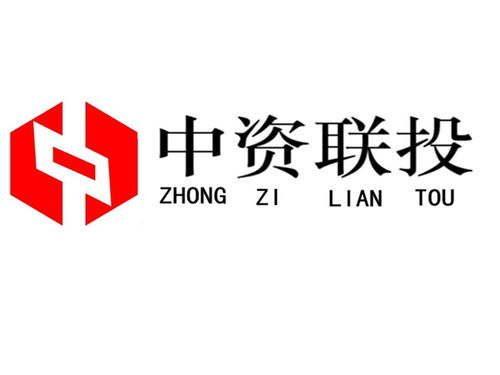武漢市中資聯投投資咨詢