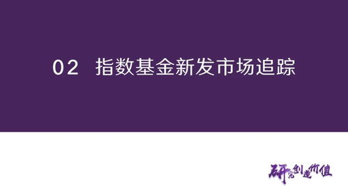 港股資金面承壓,推薦關注酒etf