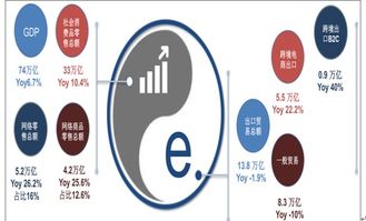 互聯網 跨境出口電商市場分析報告 2018 2024年中國互聯網 跨境出口電商市場深度調查與投資戰略咨詢報告 