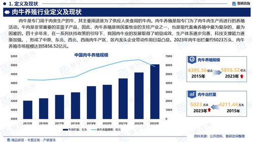 2024版中國肉牛養殖行業市場規模及投資策略研究報告 智研咨詢