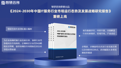 2024版中國IT服務行業發展現狀及投資前景研究報告(智研咨詢)