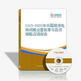 2015-2020年中國排球電商戰略運營前景與投資策略咨詢報告