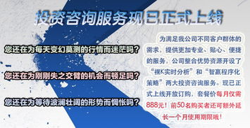 投資咨詢服務現已正式上線