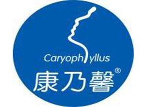 康乃馨產后恢復加盟需要多少錢 總投資14.8萬元 加盟費查詢網