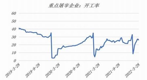 豬周期拉長 生豬短線有反彈機會